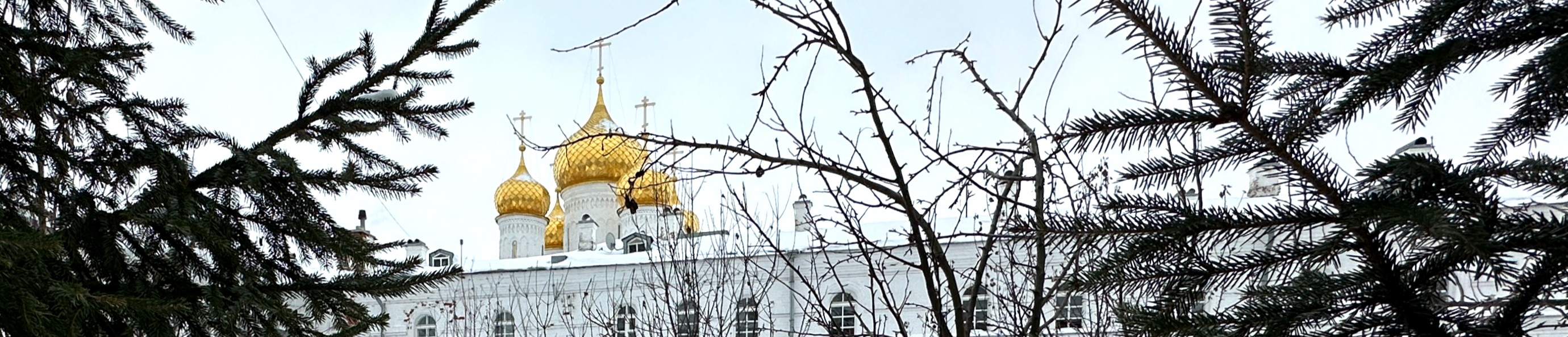 Анастасиин монастырь в Костроме