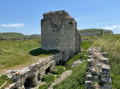 Каламита
