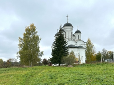 Микулинский кремль